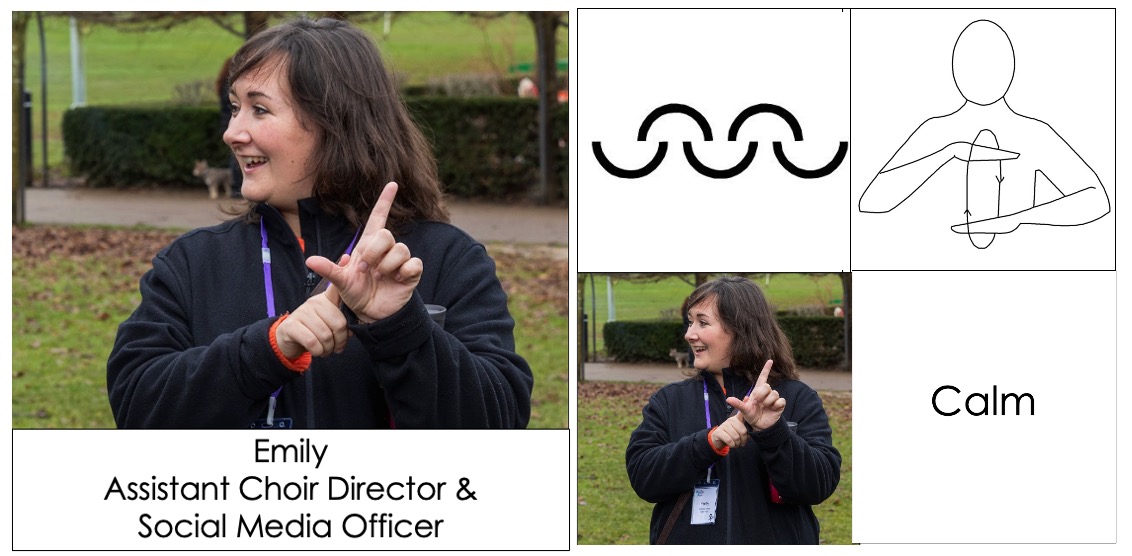 Favourite sign: Calm