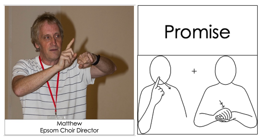 Favourite sign: Promise