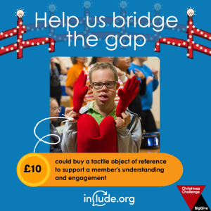An appeal to help Include bridge the gap with a donation of £10 which could buy a tactical object of reference to support a member's understanding and engagement. An arrow points to a red heart shaped cushion being held by a member of the Include Choir.