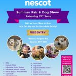 Nescot Summer Fair