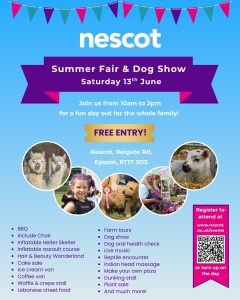 Nescot Summer Fair